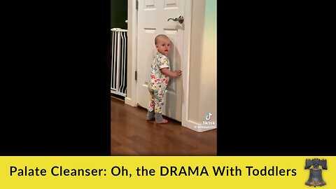 Palate Cleanser: Oh, the DRAMA With Toddlers