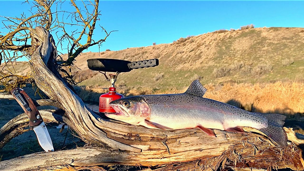 BIG TROUT Fishing & ANIMAL ATTACK on my Property!!! (Catch & Cook)