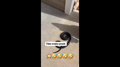 fake snake