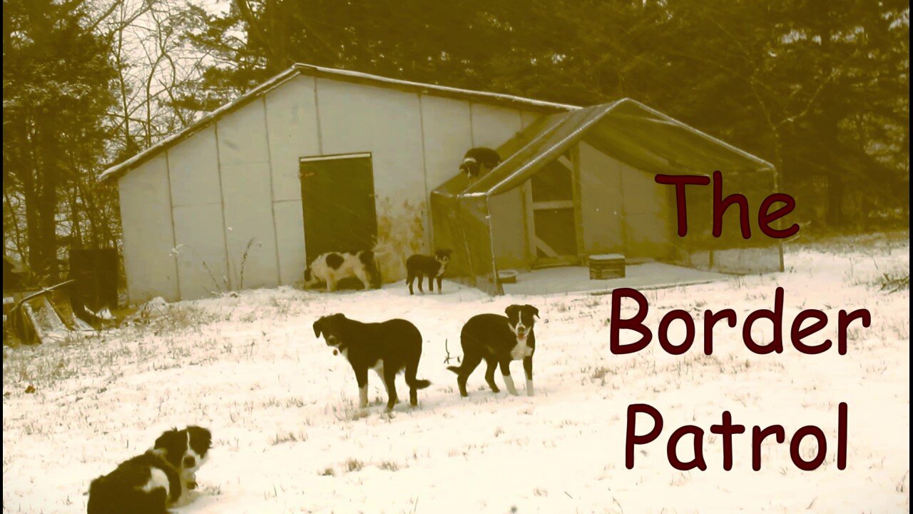 Skipper's Border Patrol at the Frozen Pond