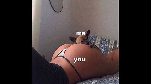 Memes That Will 99.0001% Make You Laugh.