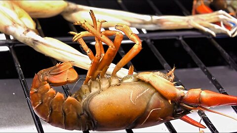 Bullfrog and Crawfish/Crayfish Catch and Cook