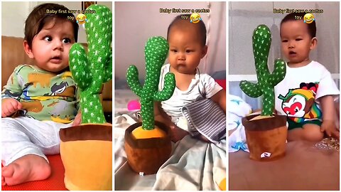 The First Time Babies Saw A Cactus Toy