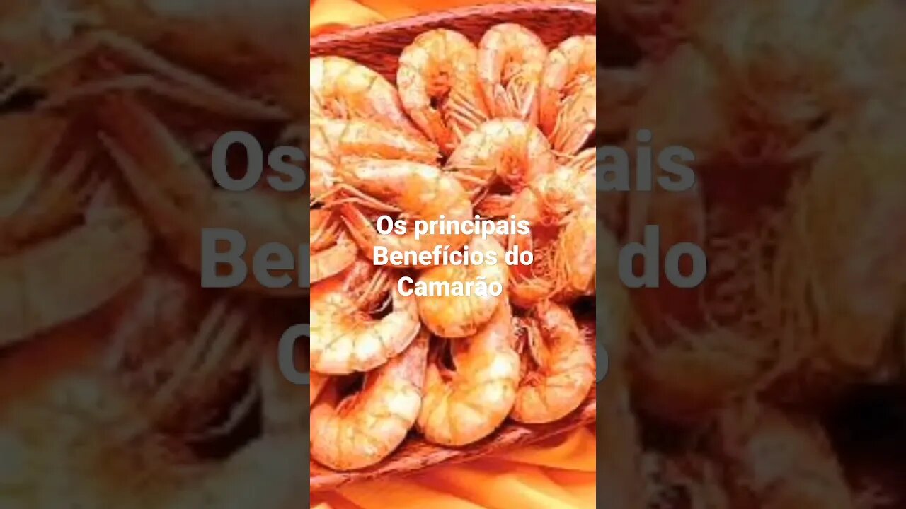 Os principais Benefícios do Camarão