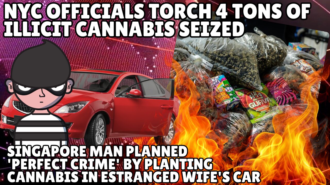 NYC officials torch 4 tons of illicit cannabis seized in unlicensed smoke shop raids
