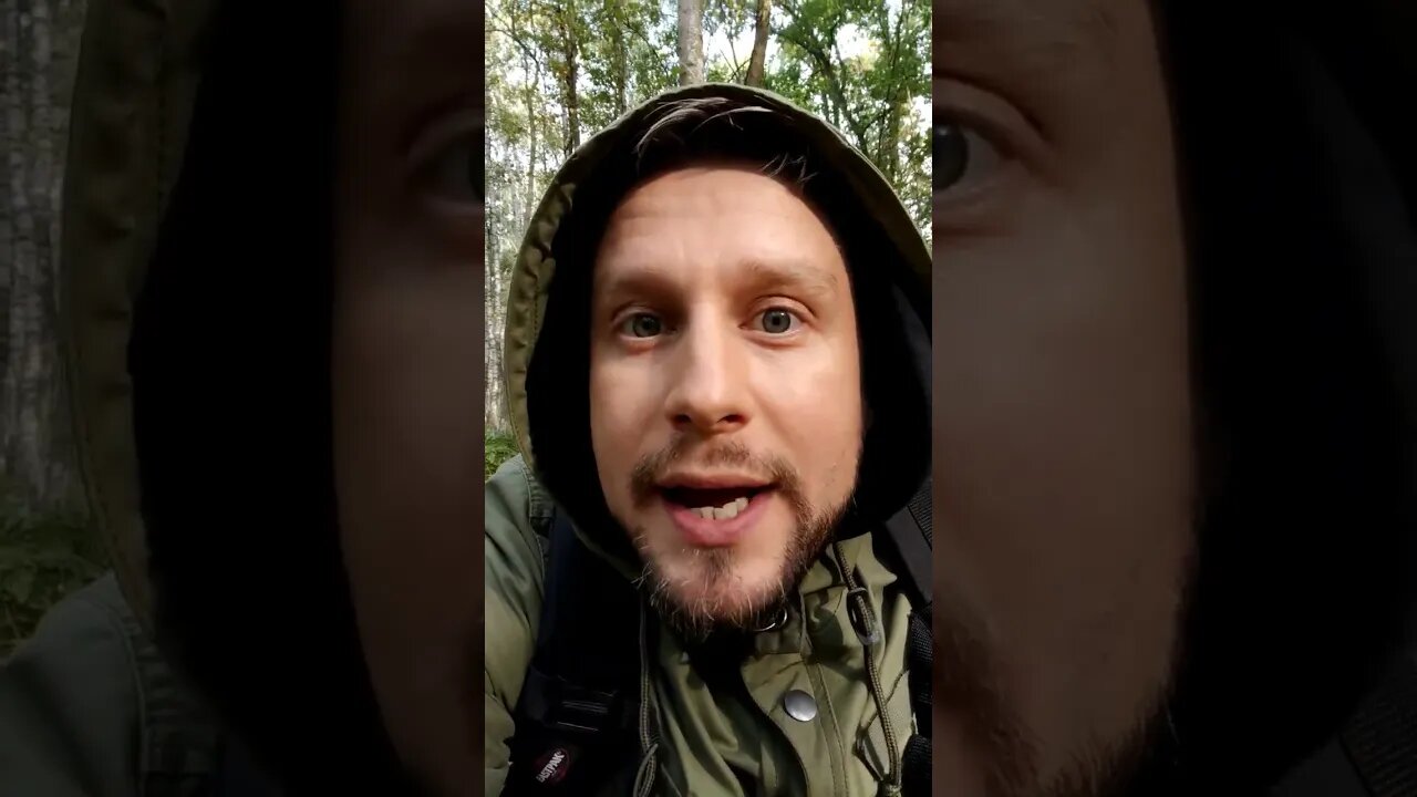 AMAZING MUSHROOMS!😮 🍄