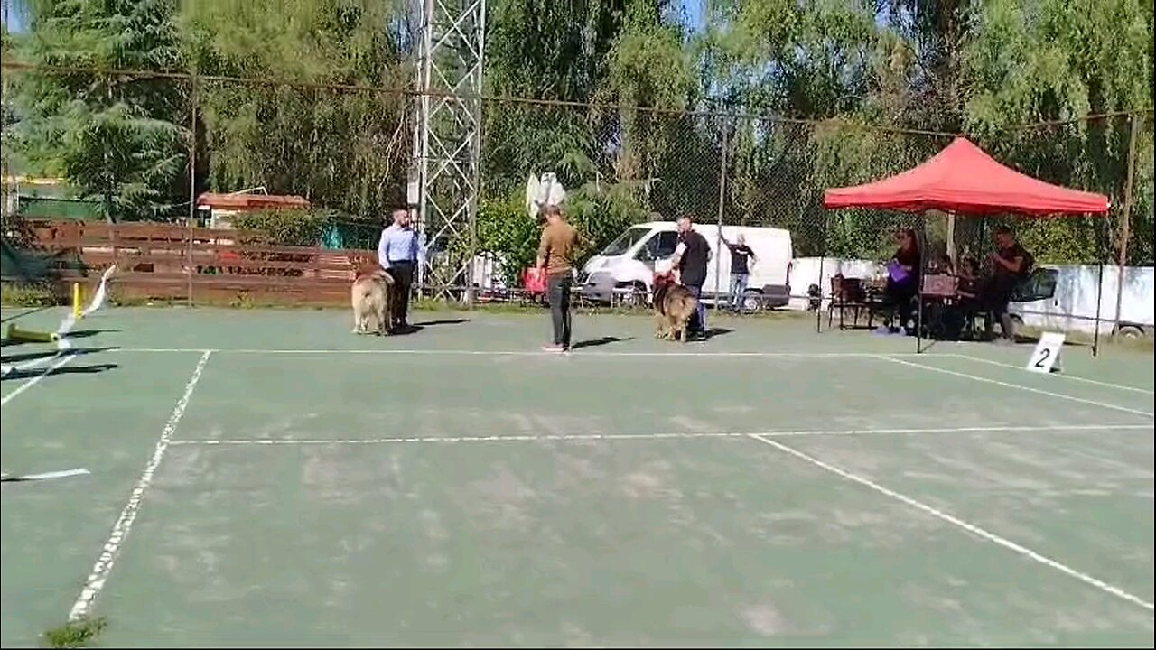 kumanovo open class males
