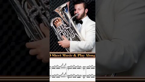 Heaviest euphonium riff ever 🤘 #euphonium #heavy #riff #solo #bombardino #lowbrass #band #brass