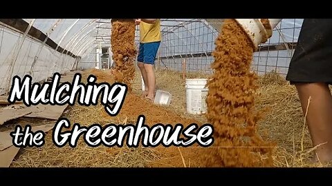 Mulching the Greenhouse: Getting Ready to Plant