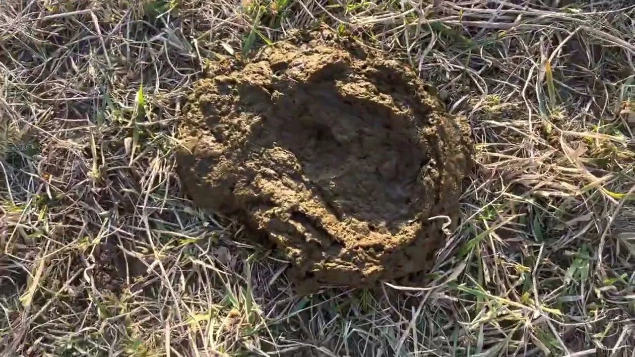 Greg discusses what your manure piles should look like on winter stockpile.