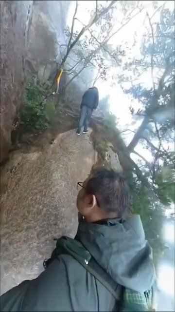 Hiker Saved by Tree After Slipping Down Cliff in the Rain
