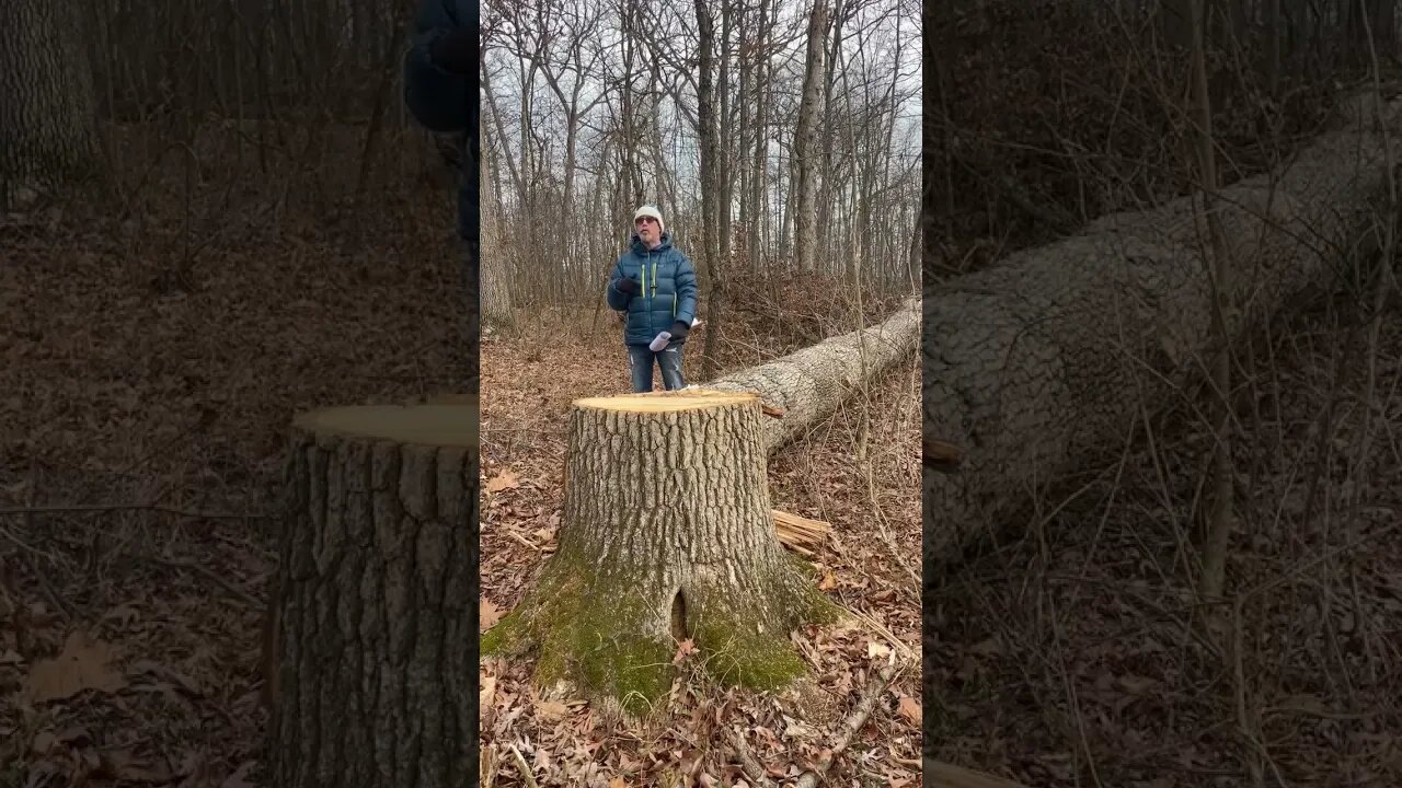 Climate Change Emergency Protest #217 “Groundhog Day” February 2,2023 Gettysburg Pa USA