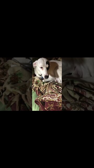 January 2022: 1 Second a Day