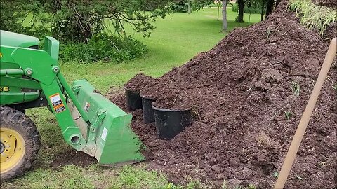 Transplanting my Herbs into large pots and a garden update