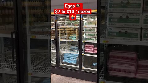 Egg Shortage = High Prices 🍳#egg, 😮#shortage #shorts #prepperboss