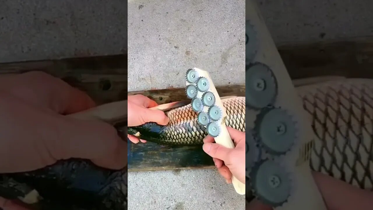 ideia de gênio #short #shorts #peixe #ideias #ideiascriativas