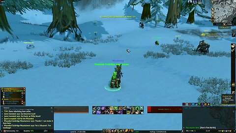 World of Warcraft Aid for the Wounded