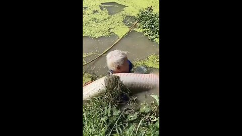 Amazing Bottle Fish Traps