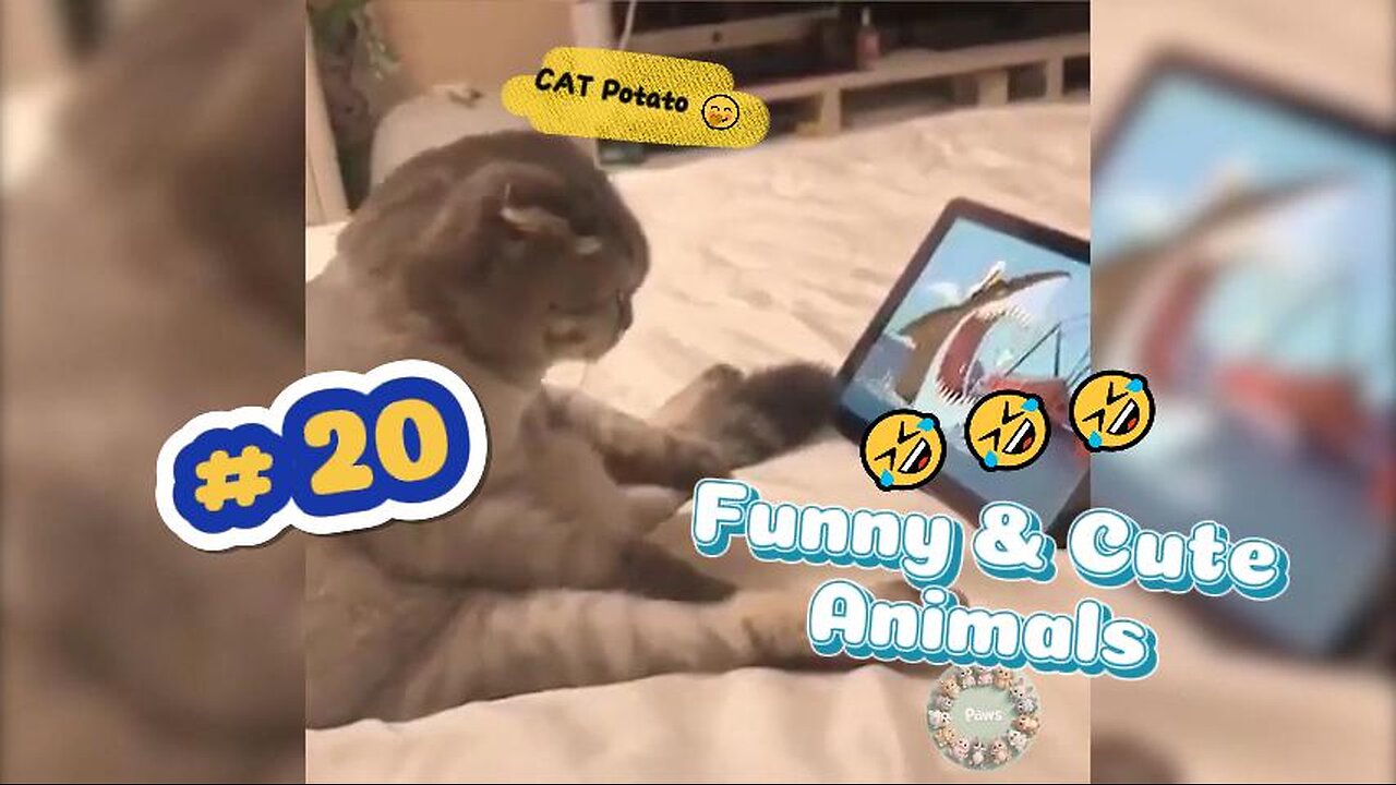 Best Funny Animal Video 🤭🤣😂 Laugh over & over AGAIN! #20😹😹😹