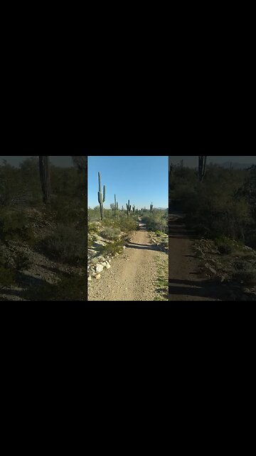 5 White Tank Mountain 1.27.2023-!-