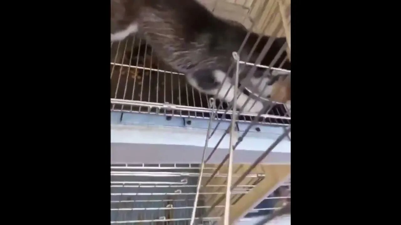 6 de fevereiro de 2023