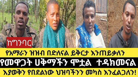 የአማራን ዝዝብ በድለናል ይቅርታ እንጠይቃለን/የመዋጋት ሀቅማችን ሞቷል ተዳክመናል/እያወቅን የበደልነው ህዝባችንን መካስ እንፈልጋለን!