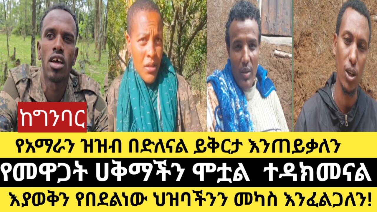 የአማራን ዝዝብ በድለናል ይቅርታ እንጠይቃለን/የመዋጋት ሀቅማችን ሞቷል ተዳክመናል/እያወቅን የበደልነው ህዝባችንን መካስ እንፈልጋለን!