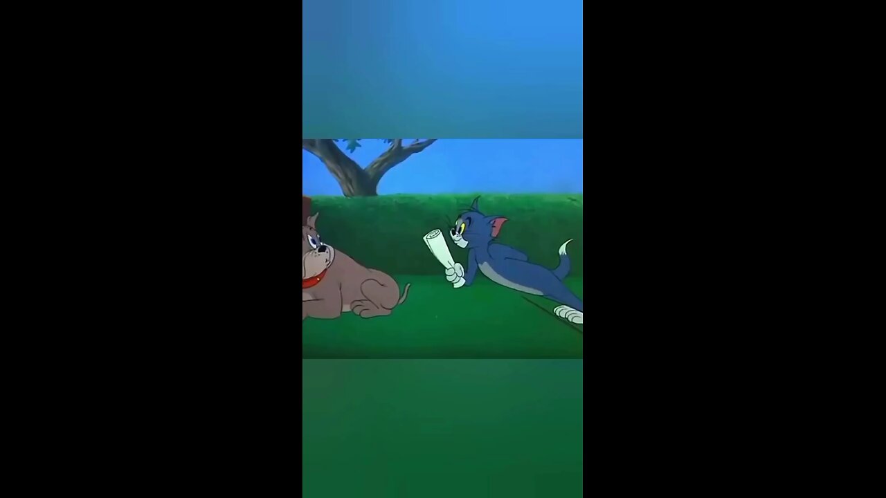 The New Cartoon Movie Shorts Tom and Jerry