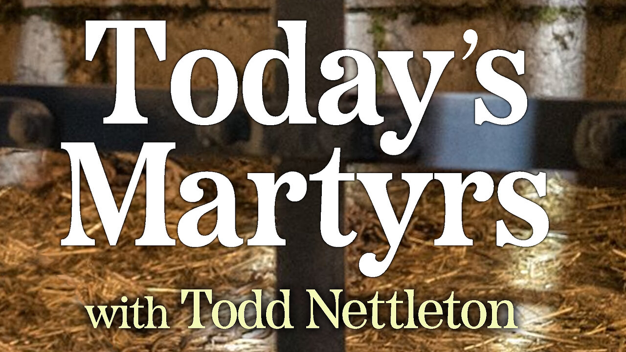Today's Martyrs - Todd Nettleton on LIFE Today Live