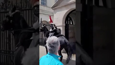 Two in one Do Don't Touch and Drunk man get off #horseguardsparade