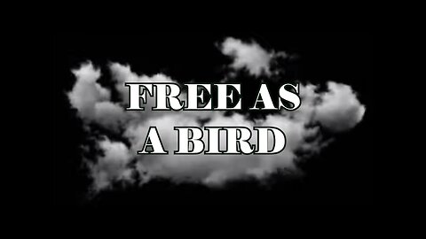 FREE AS A BIRD