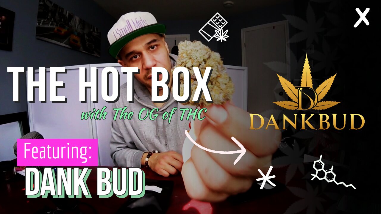 DANK BUD QUADS UNBOXING | THE HOT BOX 🔥 📦