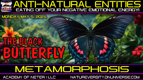 ANTI-NATURAL ENTITIES EATING OFF YOUR NEGATIVE EMOTIONAL ENERGY! | METAMORPHOSIS