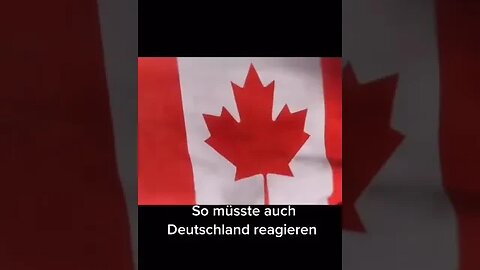 Bürgermeister weigert sich, Schweinefleisch aus der Kantine zu entfernen | Vorbild für 🇩🇪