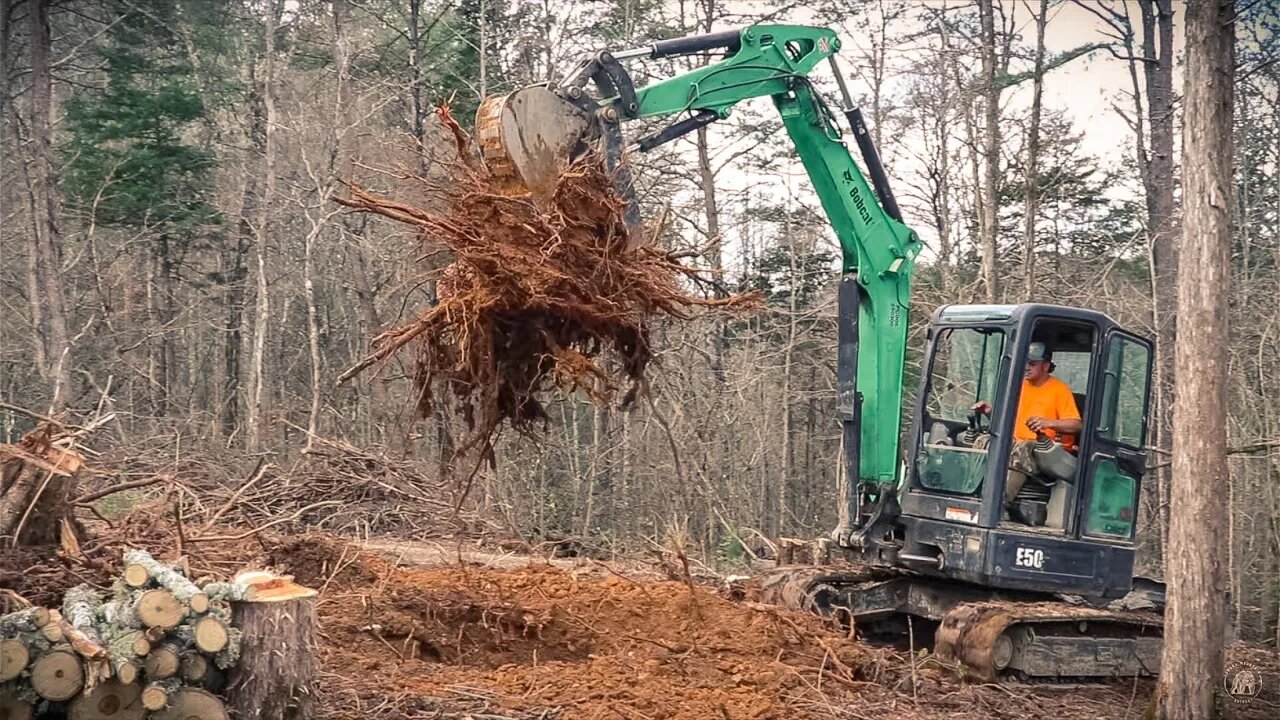 Digging out tree stumps with mini excavator | Bobcat E50