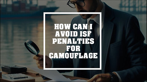 Mastering ISF Compliance: A Guide to Avoiding Penalties for Camouflage