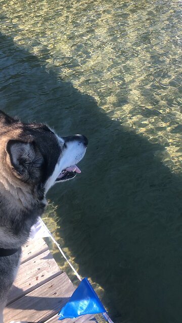 Saturday Sept 19, We are already God’s children