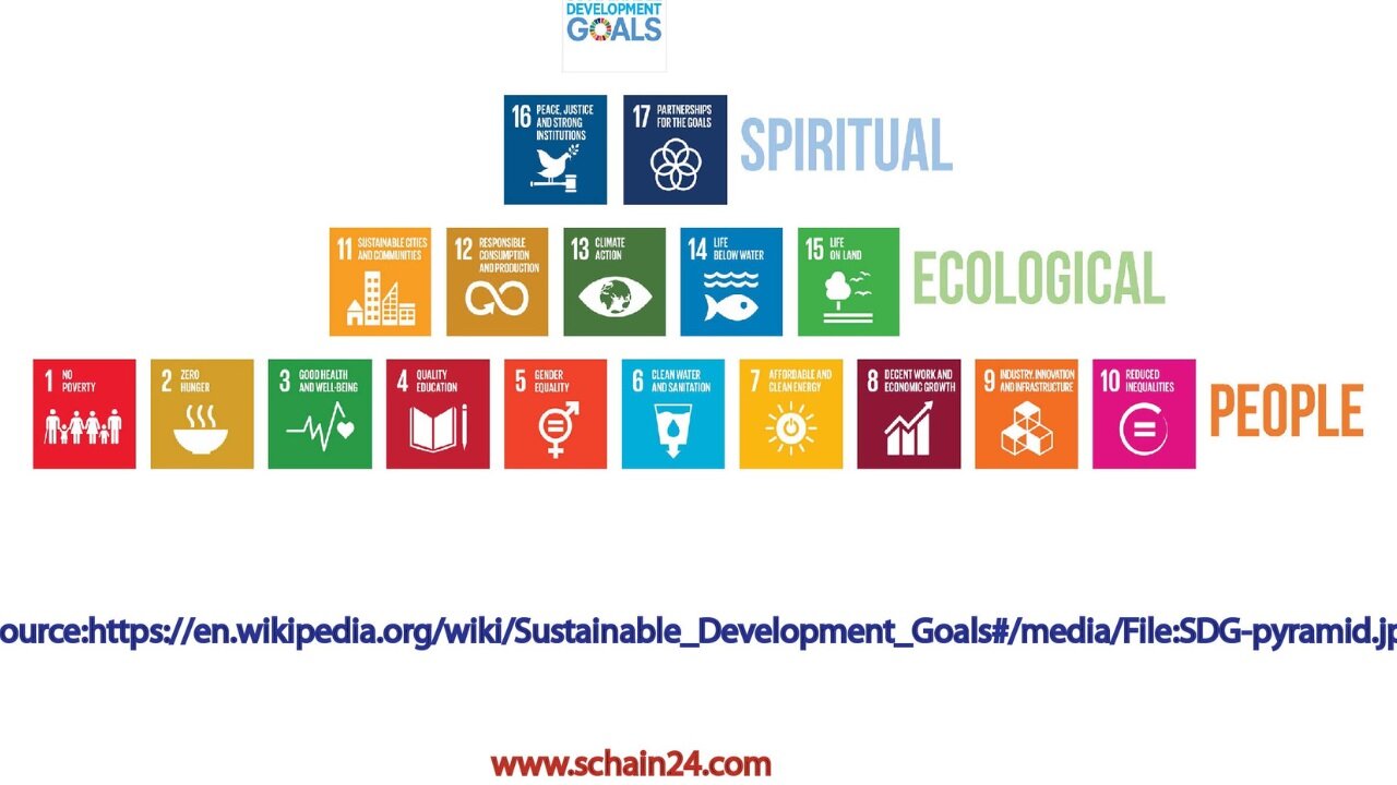 I Discovered the SHOCKING Truth About SDGs and Business