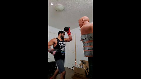 Home MMA Workout