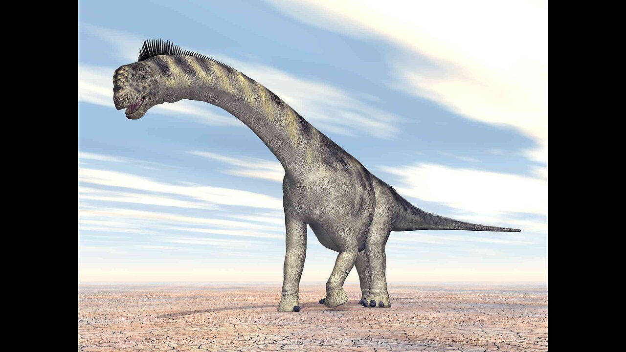 Camarasaurus