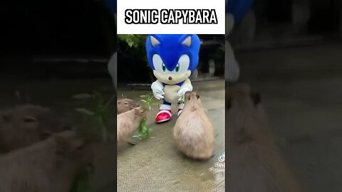 SONIC WITH THE CAPYBARAS LETS GOO- #shorts