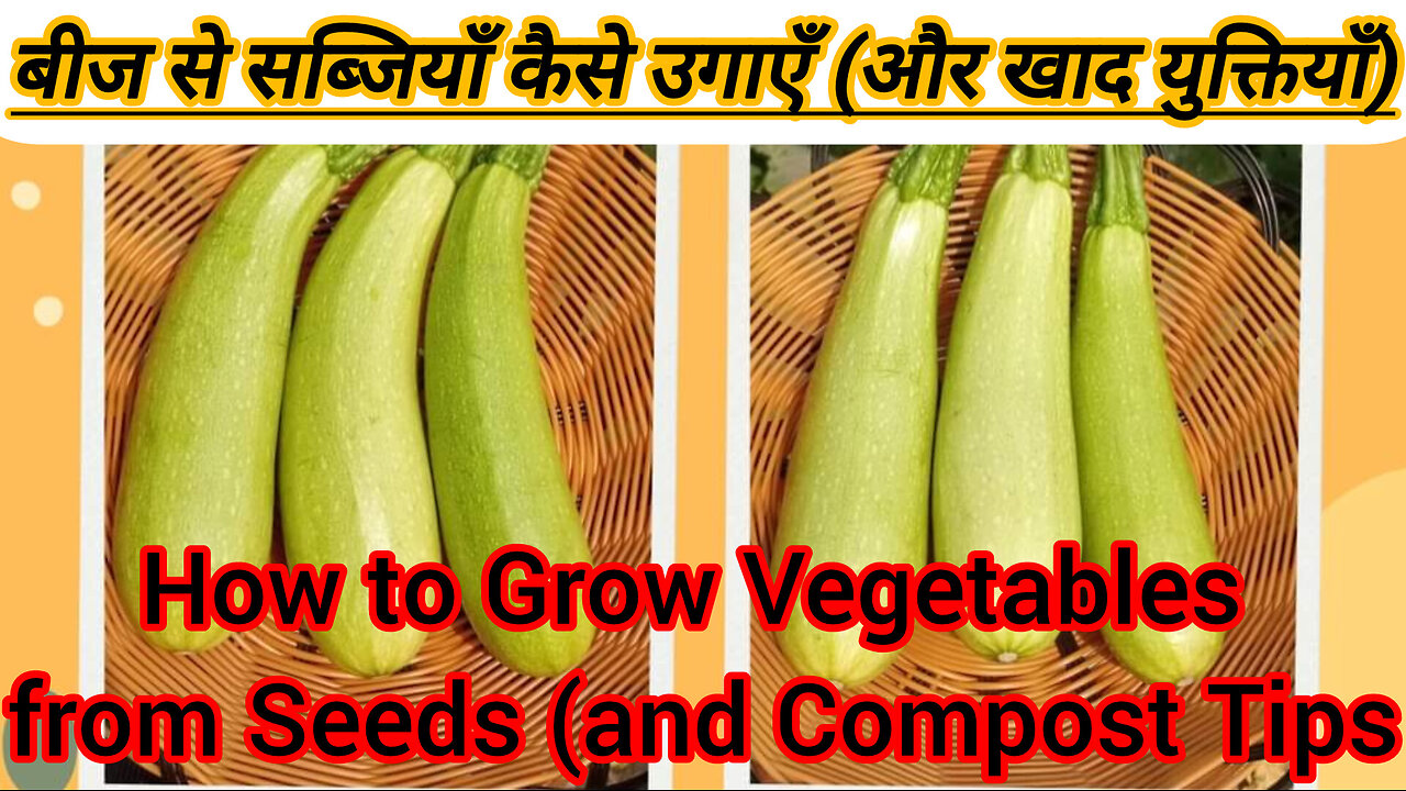 Home Vegetables Tips You Need to Know new