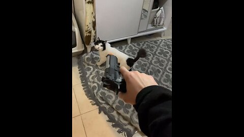 ((BITCHUTE-RUMBLE EXCLUSIVE SERIES))-OFFENSIVE MEMES- BEST OF 4CHAN GIF\YLYL VOL-201