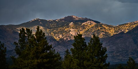 Colorado Fall Color 2024