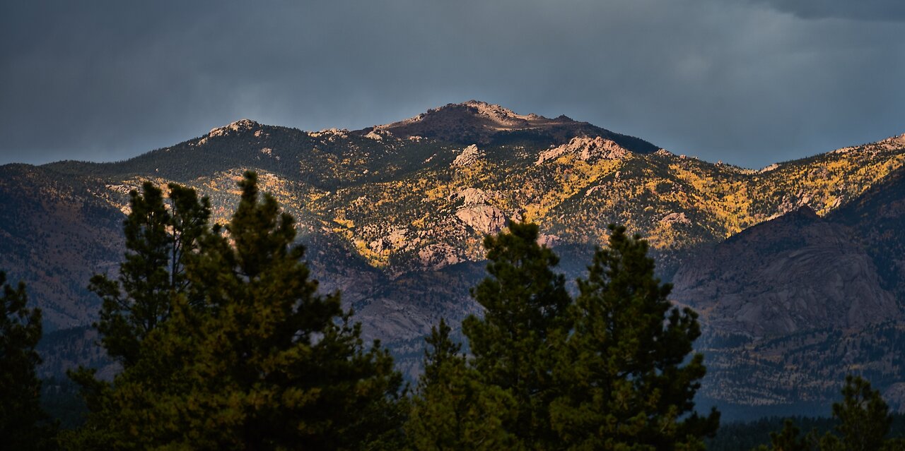 Colorado Fall Color 2024