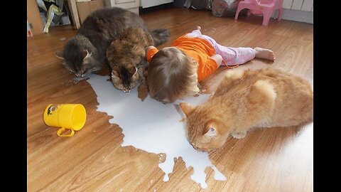 TRY NOT TO LAUGH ((((: Cats and kids playing