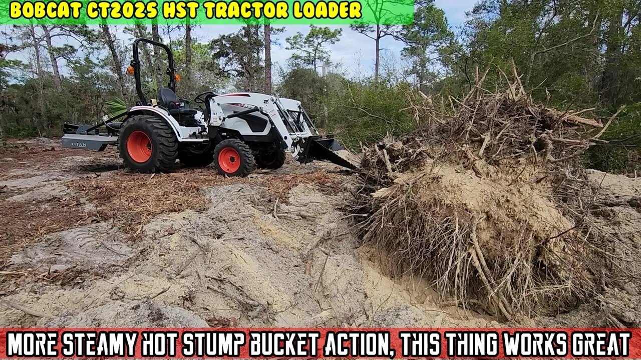 More HOT STEAMY Stump Bucket action, Big trees removed, this thing works GREAT. Bobcat 2025