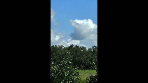 A-10 flying low near my house. Badass!!