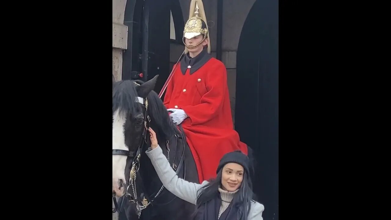 When you realise you touch the Reins #horseguardsparade