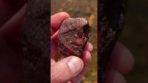 Oolitic ironstone found (jasper)